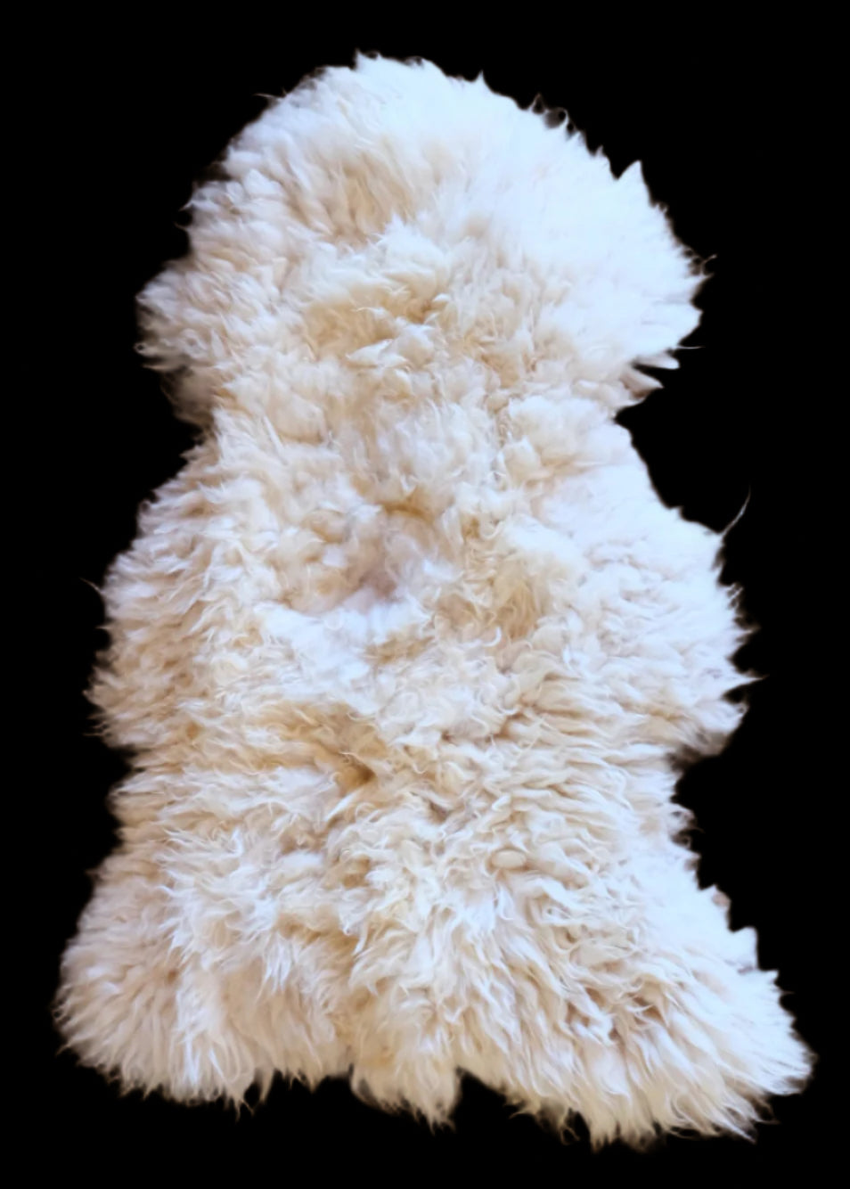 sheepskin 1